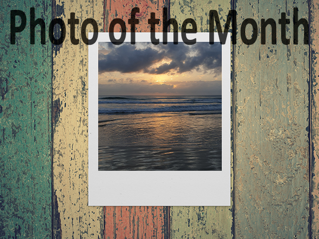 photo of the month photographers freedom