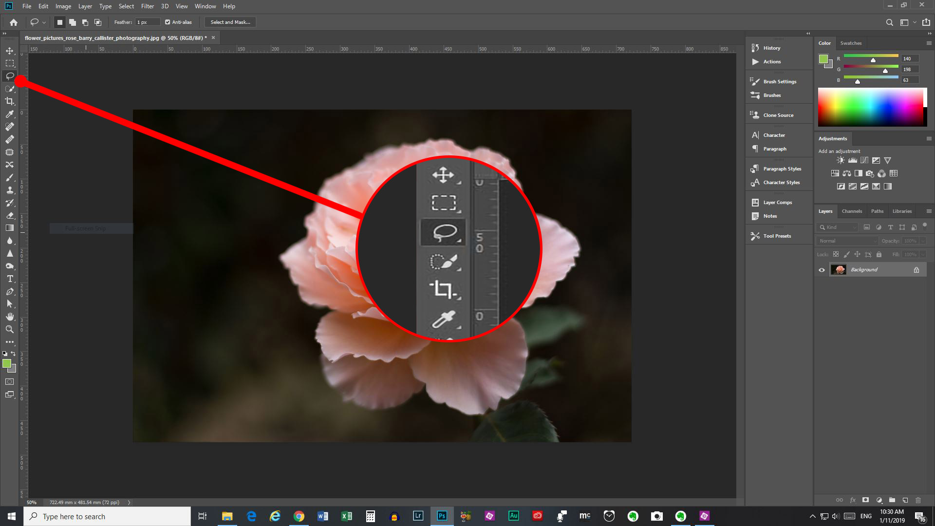 Lasso Tool in Photographer's Freedom