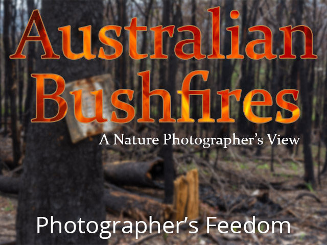 australian bushfires blog featured image