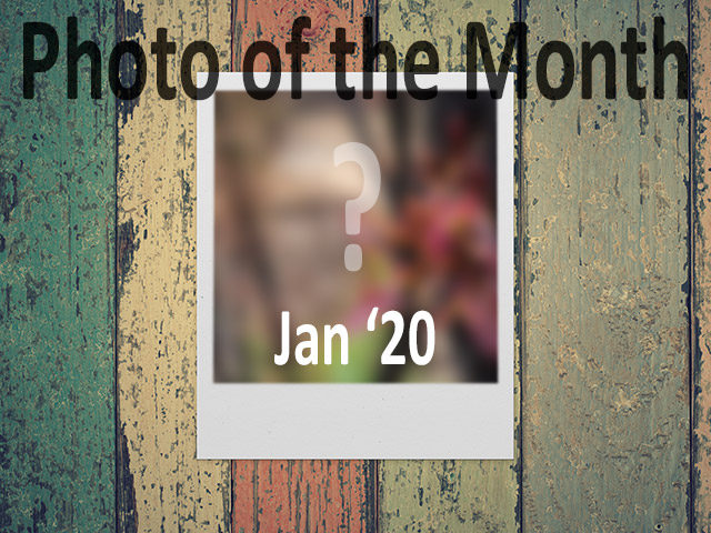 photo of the month january 2020 photographers freedom