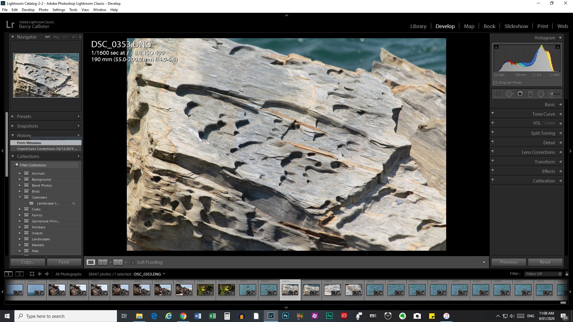 Photoshop Or Lightroom? - Photographer's Freedom