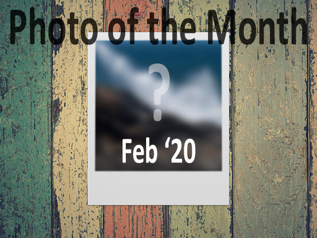 photo of the month February 2020 featured image