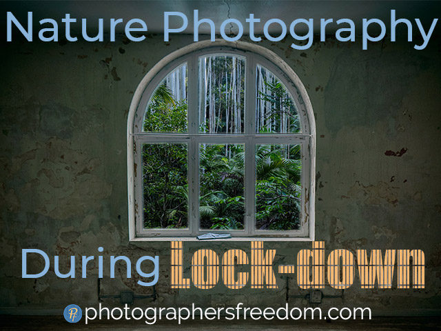 nature-photography-during-lock-down-blog-featured-image