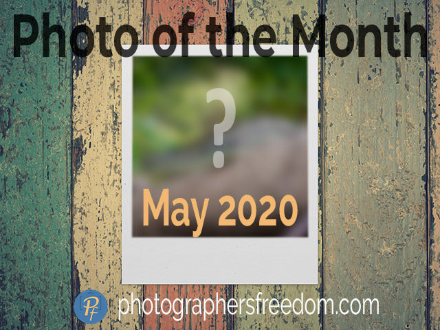 photo of the month photographer's freedom