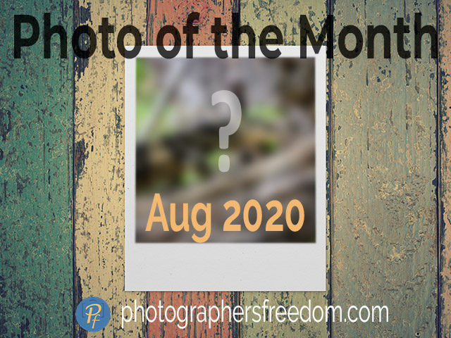 photo-of-the-month-aug-2020-photographers-freedom-featured-image