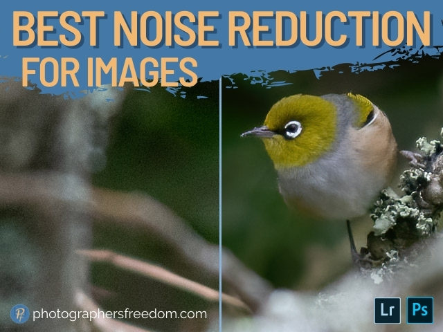 best-noise-reduction-for-images-photographers-freedom