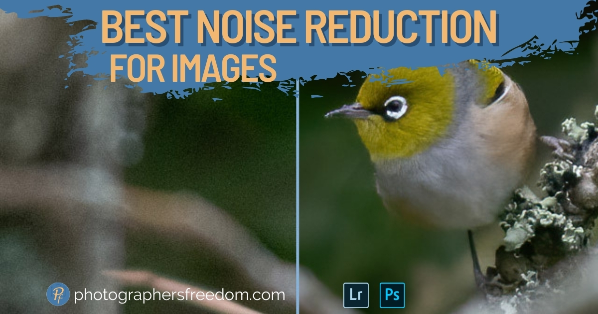 Topaz Denoise Best Noise Reduction Photographer's Freedom