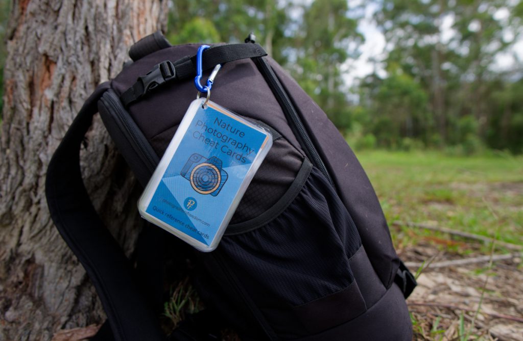 A set of nautre photography cheat cards clipped to a black camera backpack that is leaning against a tree