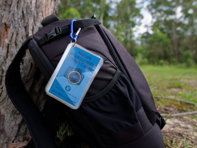 A set of nautre photography cheat cards clipped to a black camera backpack that is leaning against a tree